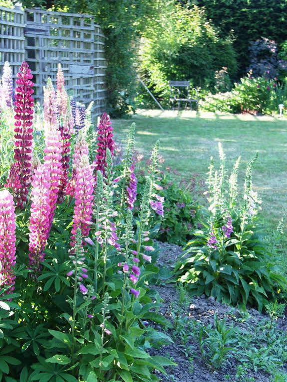 Catton Old Hall Bed & Breakfast Norwich Luaran gambar